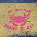 舊金山馬路上的噴漆: 別亂丟垃圾, 水溝會通到海灣裡!!