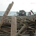 颱風過後的漂流木
