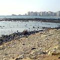 黎巴嫩海岸的油污