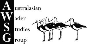 澳洲水鳥研究群