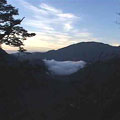 大武山自然保留區從海拔200公尺到3100公尺，保存完整而豐富的林相。