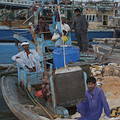 巴基斯坦漁港內漁船上修補漁網的漁民(攝影：蘇彥肇)