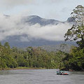 流經婆羅州心臟地帶的Rupert河 (圖片來源: WWF) 