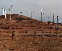 蒙古的風車圖：威廉‧華樂士，NREL/PIX