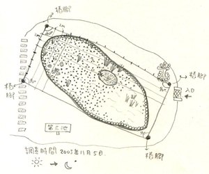 在生態池上畫格線