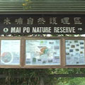香港米埔自然護理區