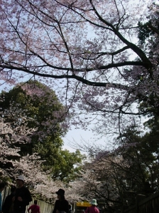 香川縣‧金刀比羅宮