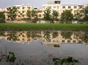 午後一場雨，雨後的公園顯得格外清新動人。