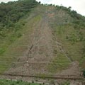 台中潭子鄉使用打樁編柵生態工法的示範點。