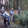 志工們將鋸下的竹子與砍下的廢棄竹葉堆疊在一起