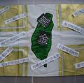 綠黨致贈民進黨黑金新黨旗：圖片來源：台灣綠黨