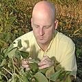 密西西比州立大學植物病理學家Tom Allen檢視大豆銹病；圖片來源： MSU