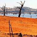 澳洲乾旱引發嚴重缺水問題；圖片來源：ENS