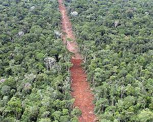 亞馬遜雨林中為大型農場所開的路。圖片來源：MMA
