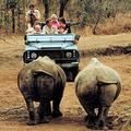 旅客參訪南非的Kruger國家公園。圖片來源：South African Tourism