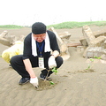 遠從日本來的志工奧田一彥在沙洲上種下馬鞍藤枝條