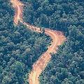 道路通過巴布亞紐幾內亞的森林；圖片來源：UPNG Remote Sensing Centre