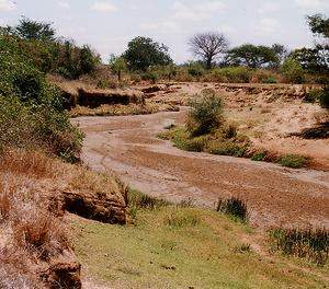 肯亞乾涸的河流