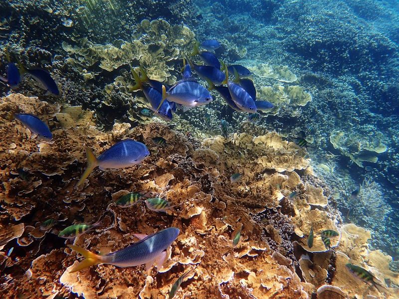 再不去就消失了 你的「末日旅遊」正在加速環境毀滅