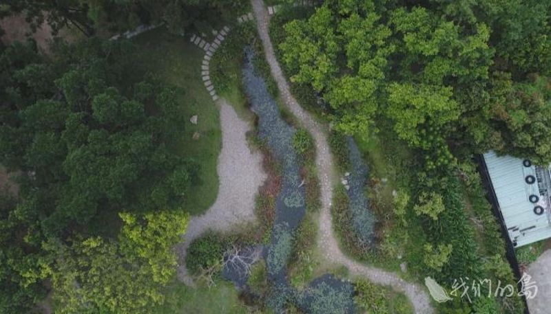 城市新藍帶 台北市的生態夢