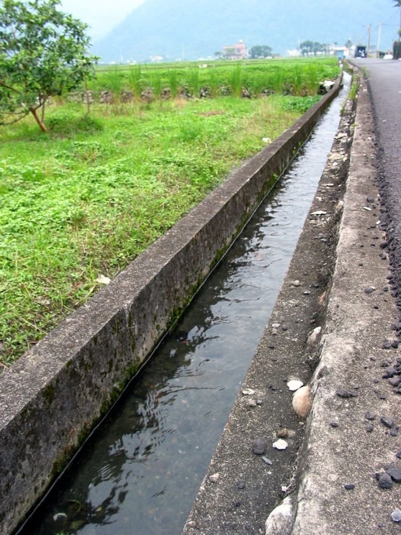 梅雨不來卻「放水流」 建案、河川工程虛耗水資源