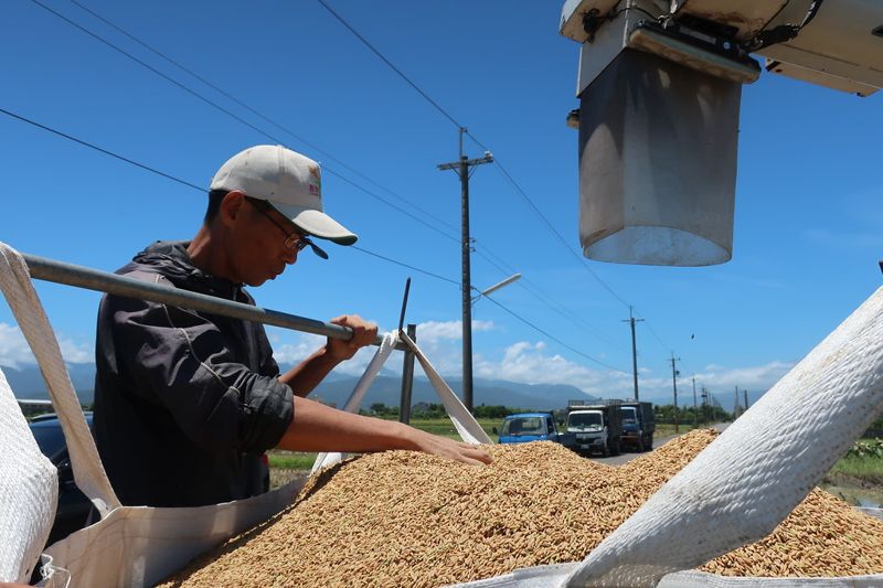 領先各部會 農委會拋2050農業淨零碳排規劃 9月成立專責辦公室