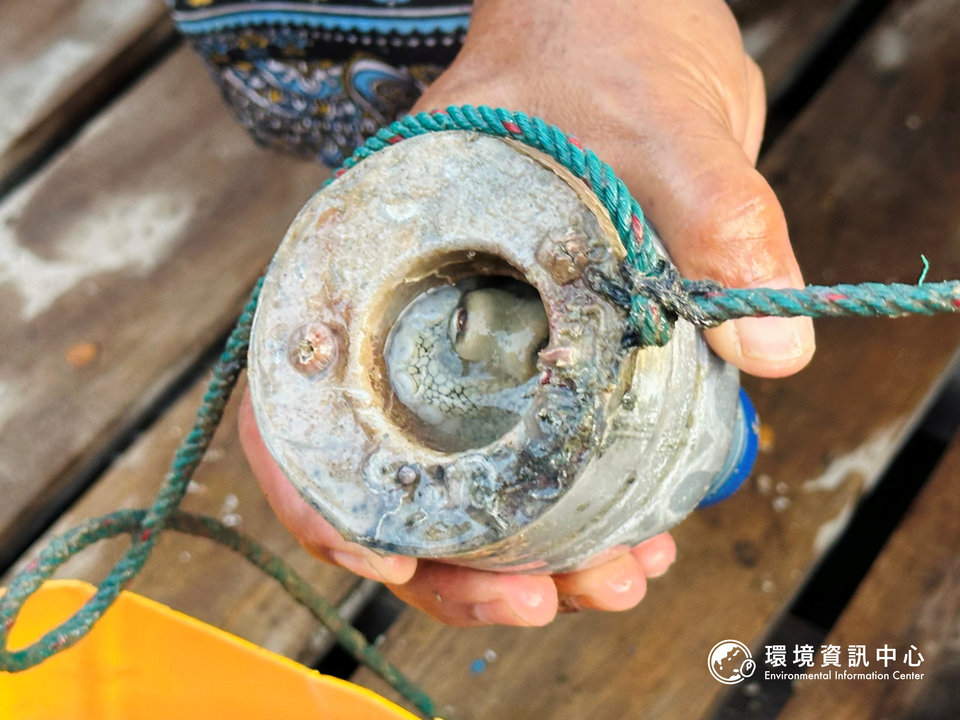當地漁民就地取材，以回收寶特瓶製成捕章魚的漁具，在海上也常見將寶特瓶綁在一起作為浮具。攝影：黃小莫