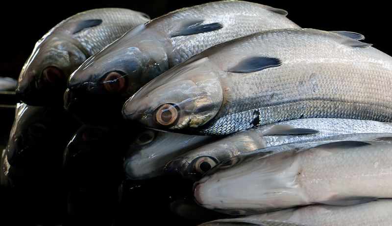 虱目魚之名由來，真的有國姓魚嗎？