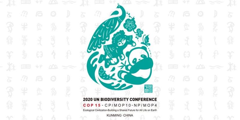 生物多樣性大會第一回合結束！ 人類離保護生態又更進一步了嗎？