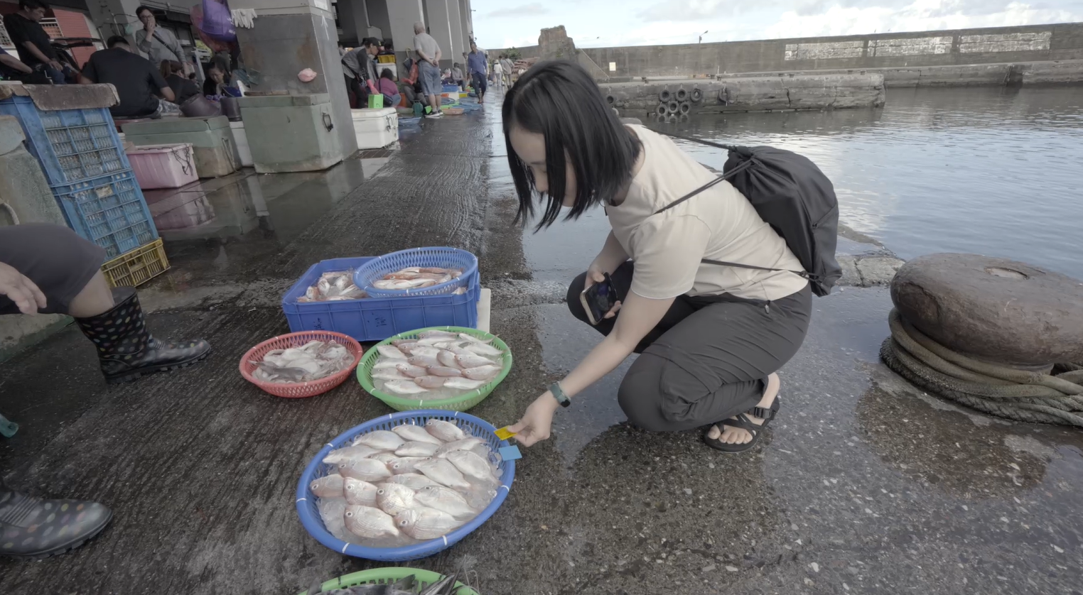 綠色和平調查漁港的近海新鮮漁獲,發現越來越多魚種未達性成熟便被捕撈上岸。 圖片提供:綠色和平