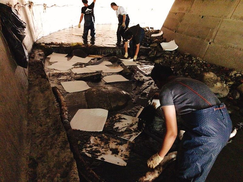 新竹橫山排水溝發現漏油 為亞泥40年前已停用油管