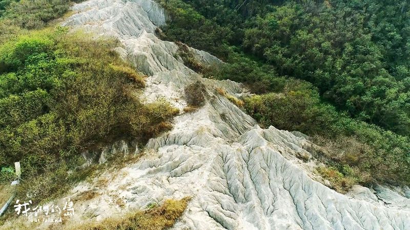 光電馬頭山 穿山甲及陸蟹棲地受衝擊？