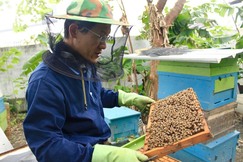 一個雞婆公務員 活化一整座森林和山村 呂坤旺為林農闖出林下一片天