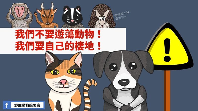 野生動物追思會／欸！遊蕩犬貓真的會威脅原生種