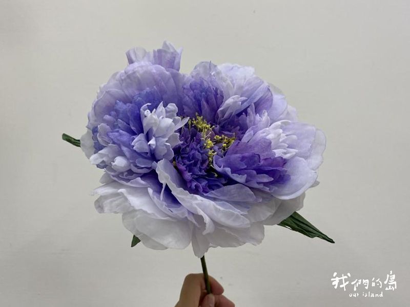 說不盡的蓪情草理 重拾傳統「蓪草」文化