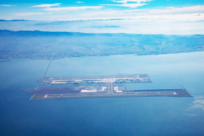14個棒球場大的藻場復育 關西機場成日本「自然共生區」認證機場