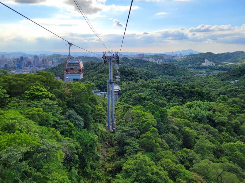 貓空生態大踏查：不只茶葉與纜車 還把野生動物找回來