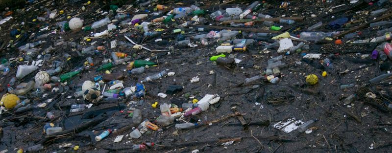 200英議員致函多家超市 呼籲淘汰塑膠包裝