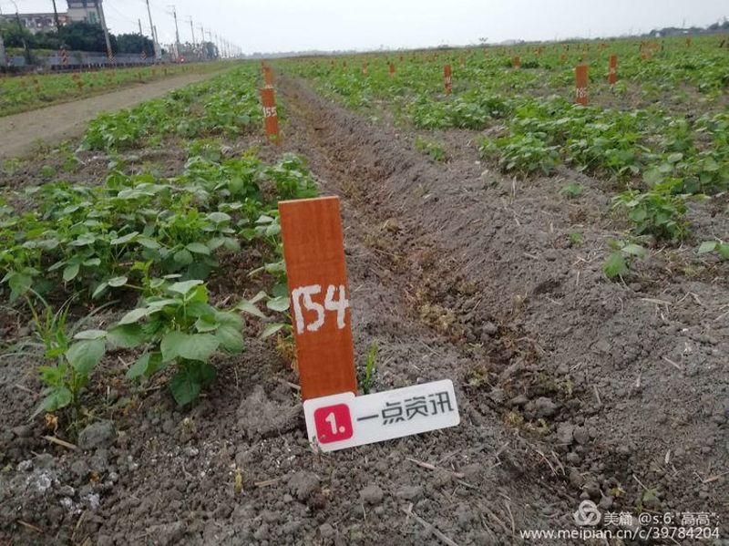 墾丁社區的生態旅遊發展模式，海南坡鹿保護區能否複製？