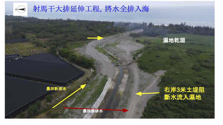 射馬干大排工程將水全排入海的示意照。圖片來源：荒野保護協會