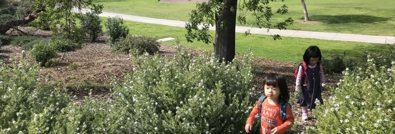 草地與水泥的競逐 公園綠地如何包容更多使用者需求？