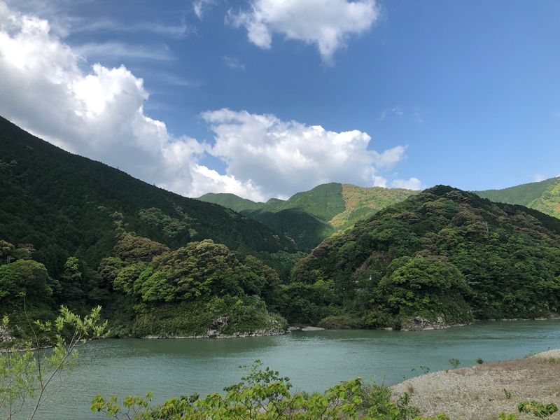 靠森林自給自足的光景：日本為什麼投入那麼多資源經營林業？