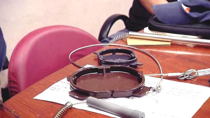 防黑熊再中「山豬吊」 林務局推精準獵具、電圍網 民間盼禁絕獸鋏