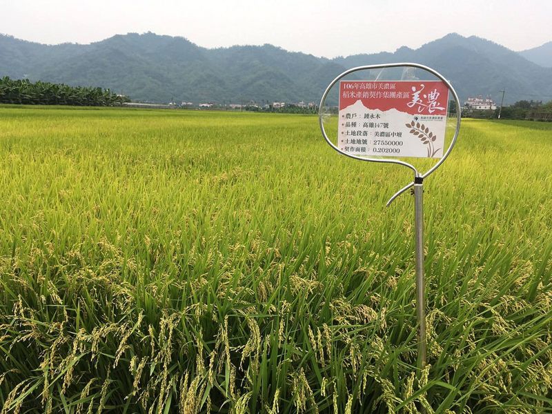推「高雄147」 適地適種 農會為小農量身打造生產鏈