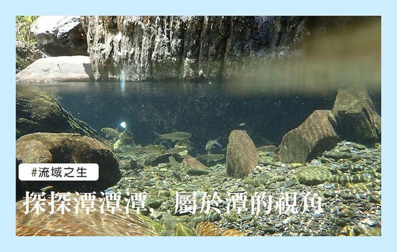 探探「潭、潭、潭」 從不同視角觀察潭的生態