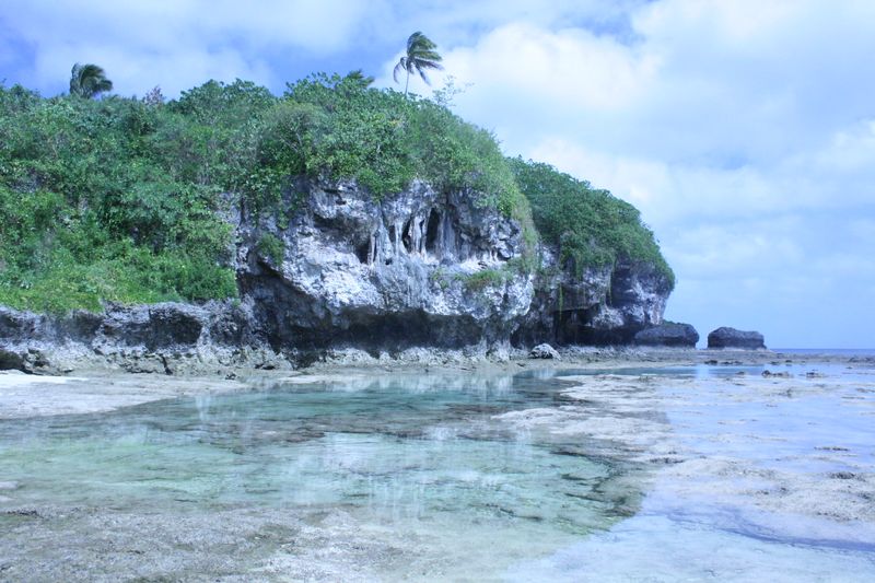 人人可以認養一片海！ 島國紐埃向全球募資1800萬美元保育海洋