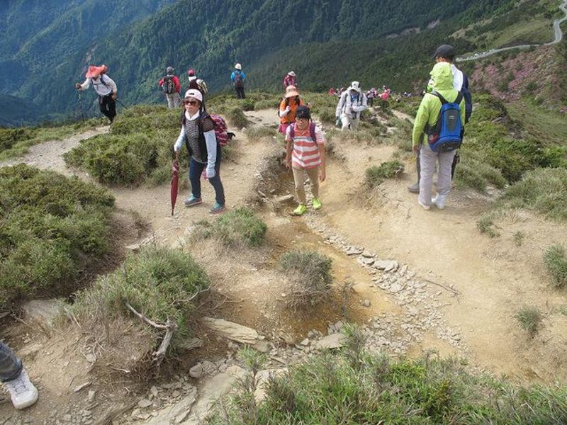 高山的「公有地悲歌」：合歡北峰步道人滿為患 侵蝕嚴重