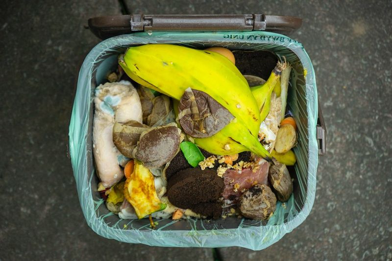 全球食物浪費翻倍 聯合國報告：每年被丟棄糧食逼近10億噸