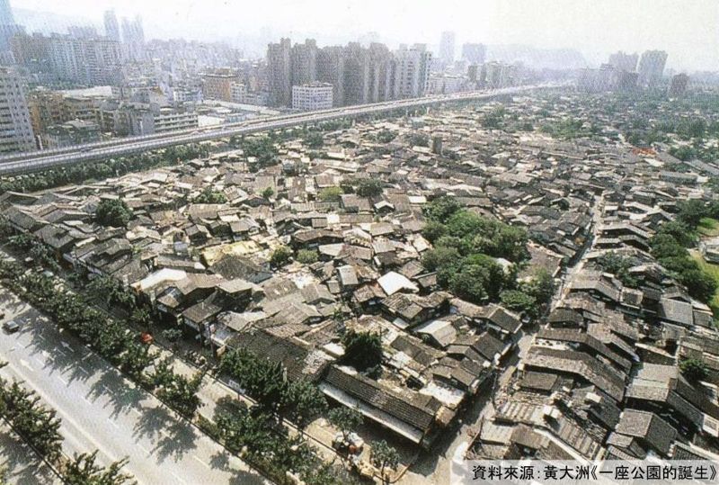 「樹」說往事憶當年 大安森林公園的前世今生
