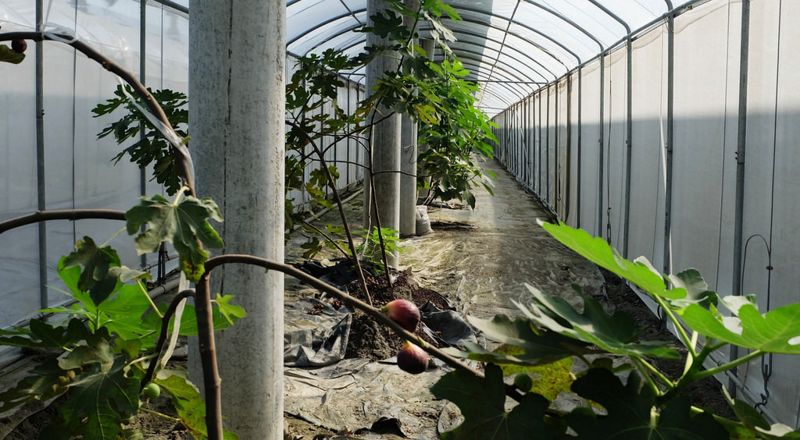 國土計畫裡的農業未來 農委會這麼說